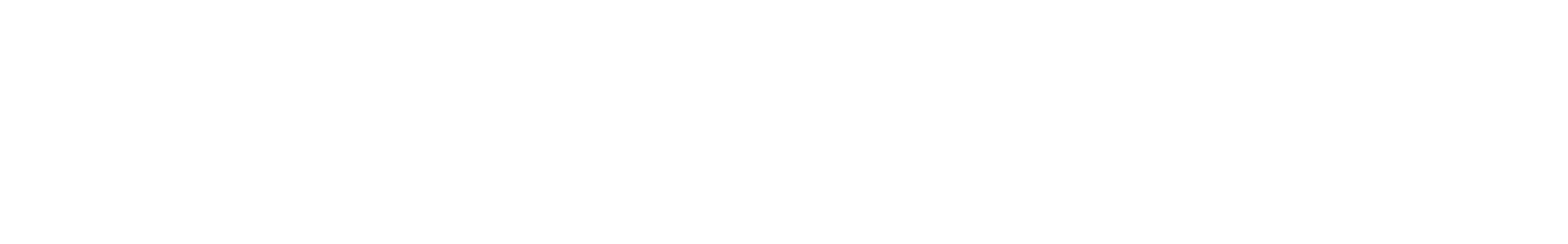 MR. MICHAEL CONCRETE
